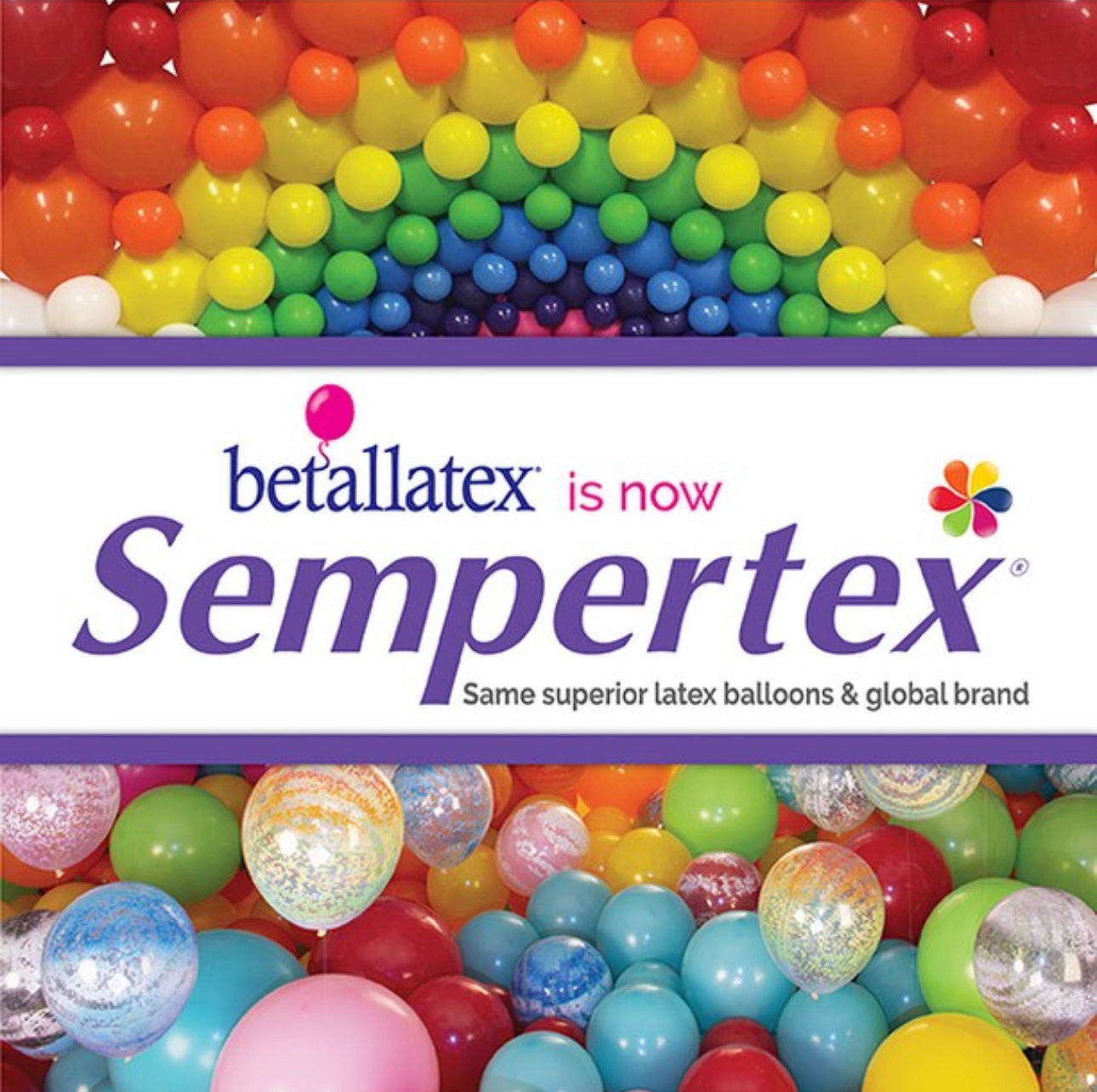 Sempertex Fashion Color Latex Balloons All Sizes